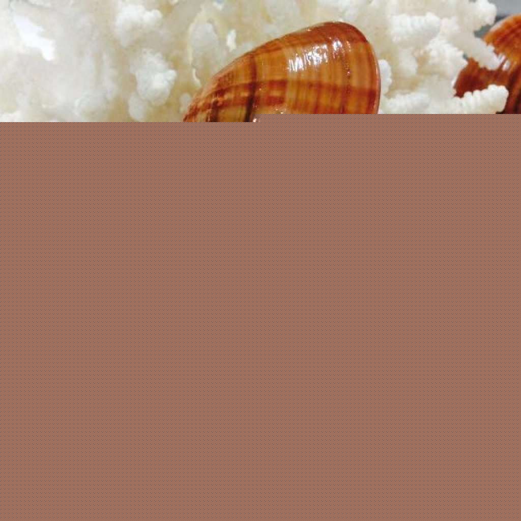 fasolari
