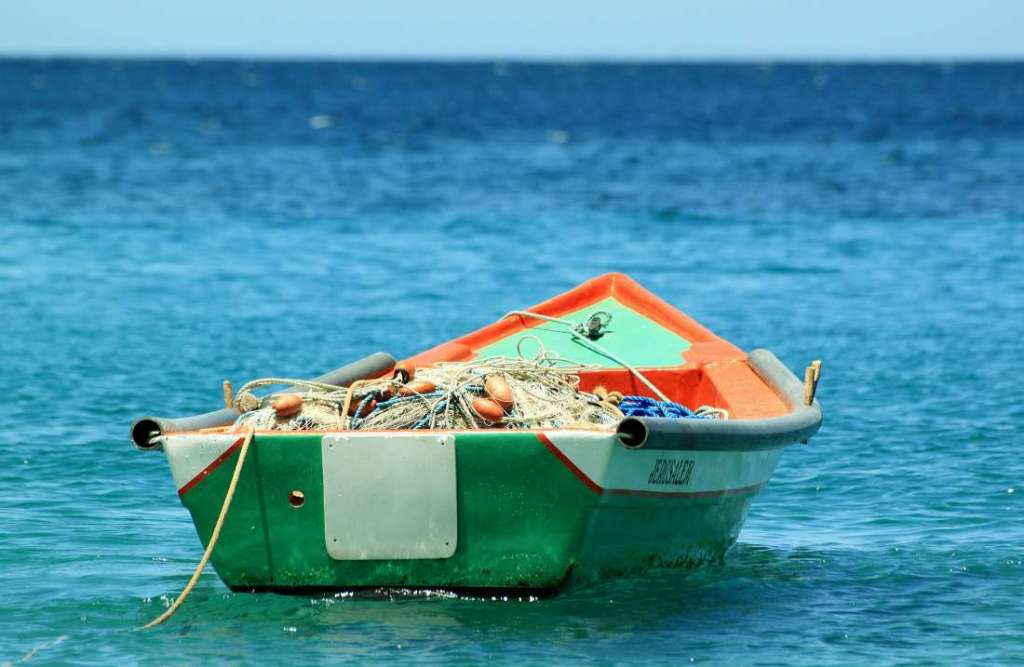 pesce di stagione a luglio