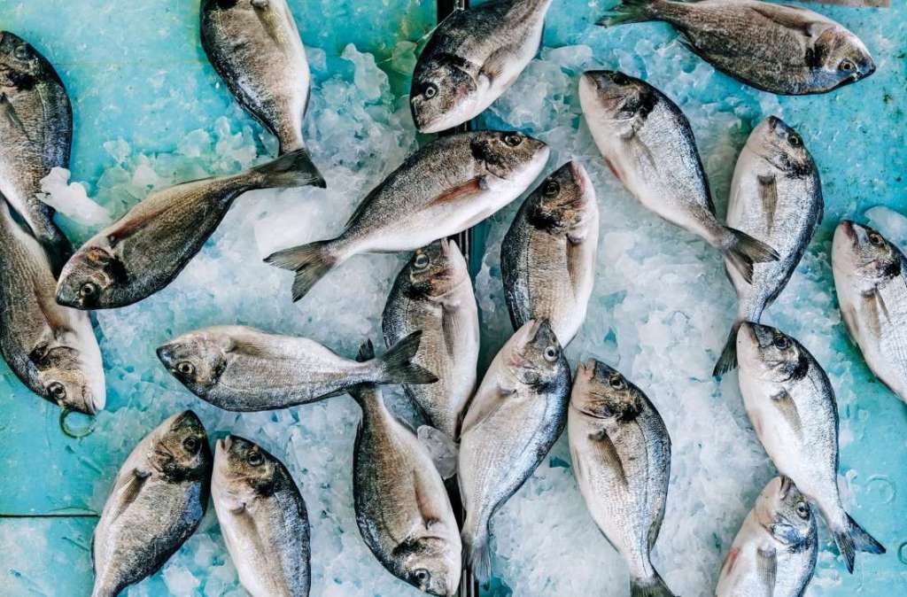 Pesce di stagione a gennaio