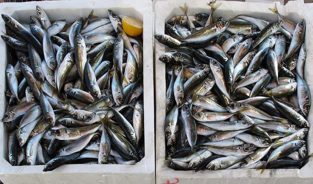 Pesce di stagione ad aprile