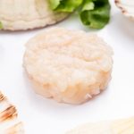 Tartare di cappesante su crema di piselli